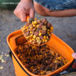 Cara Memilih Umpan Terbaik untuk Lele di Musim Dingin