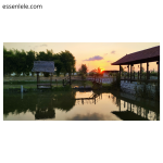 Strategi Memancing Lele di Kolam yang Baru Dibuka